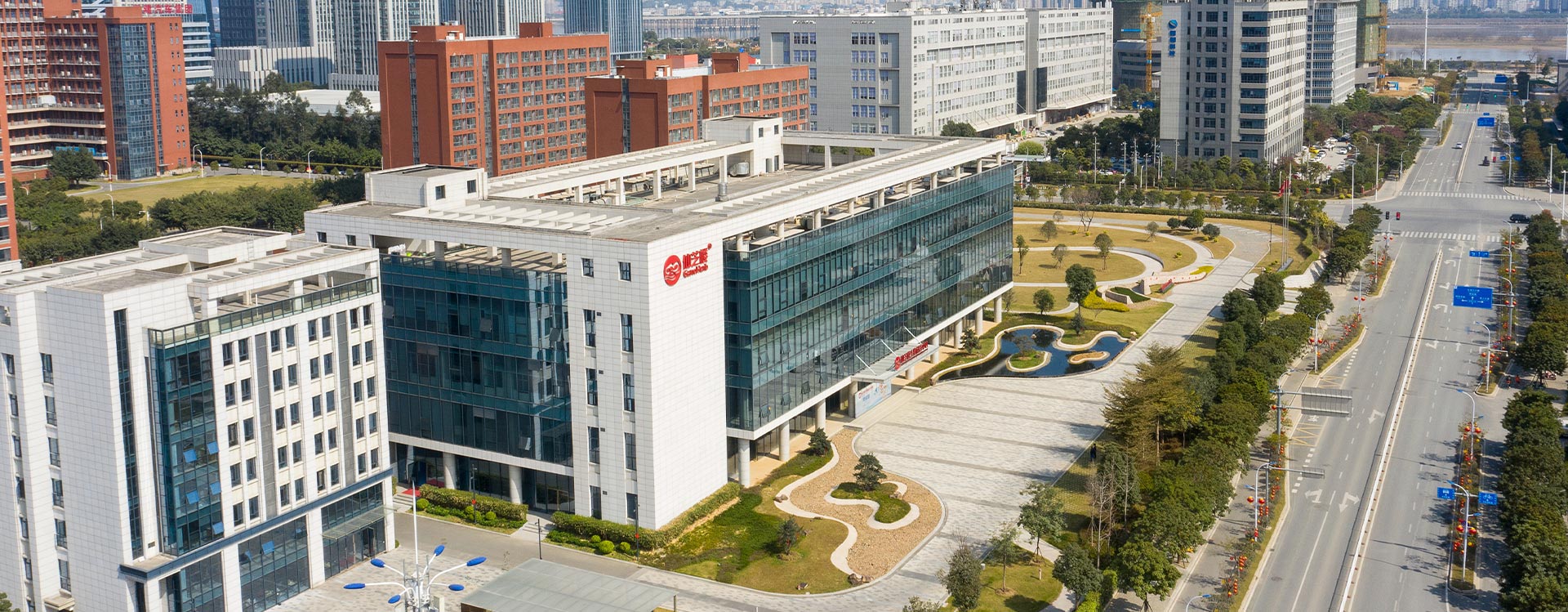 中国好灵芝  福建jinnian168