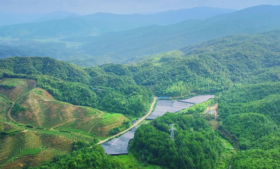 灵芝基地 灵芝基地