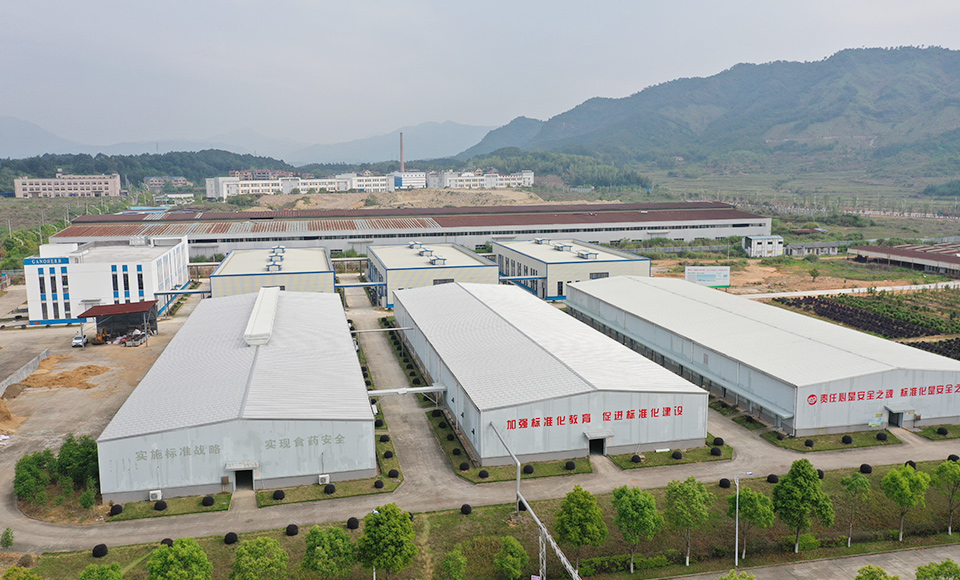 灵芝基地 灵芝基地